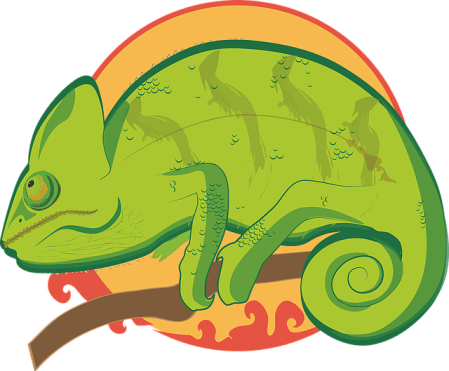 IE Skills makes them versatile in any situation